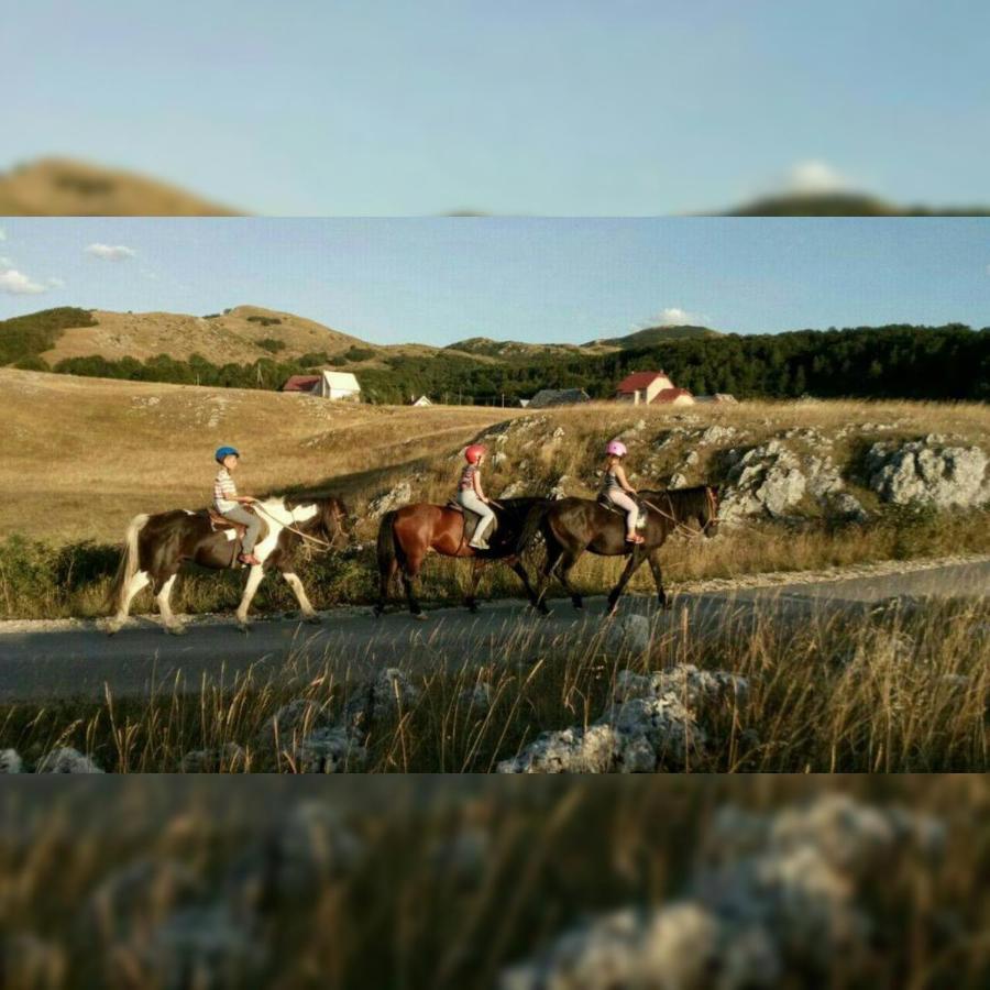 Rural Resort Tron Plužine Eksteriør bilde