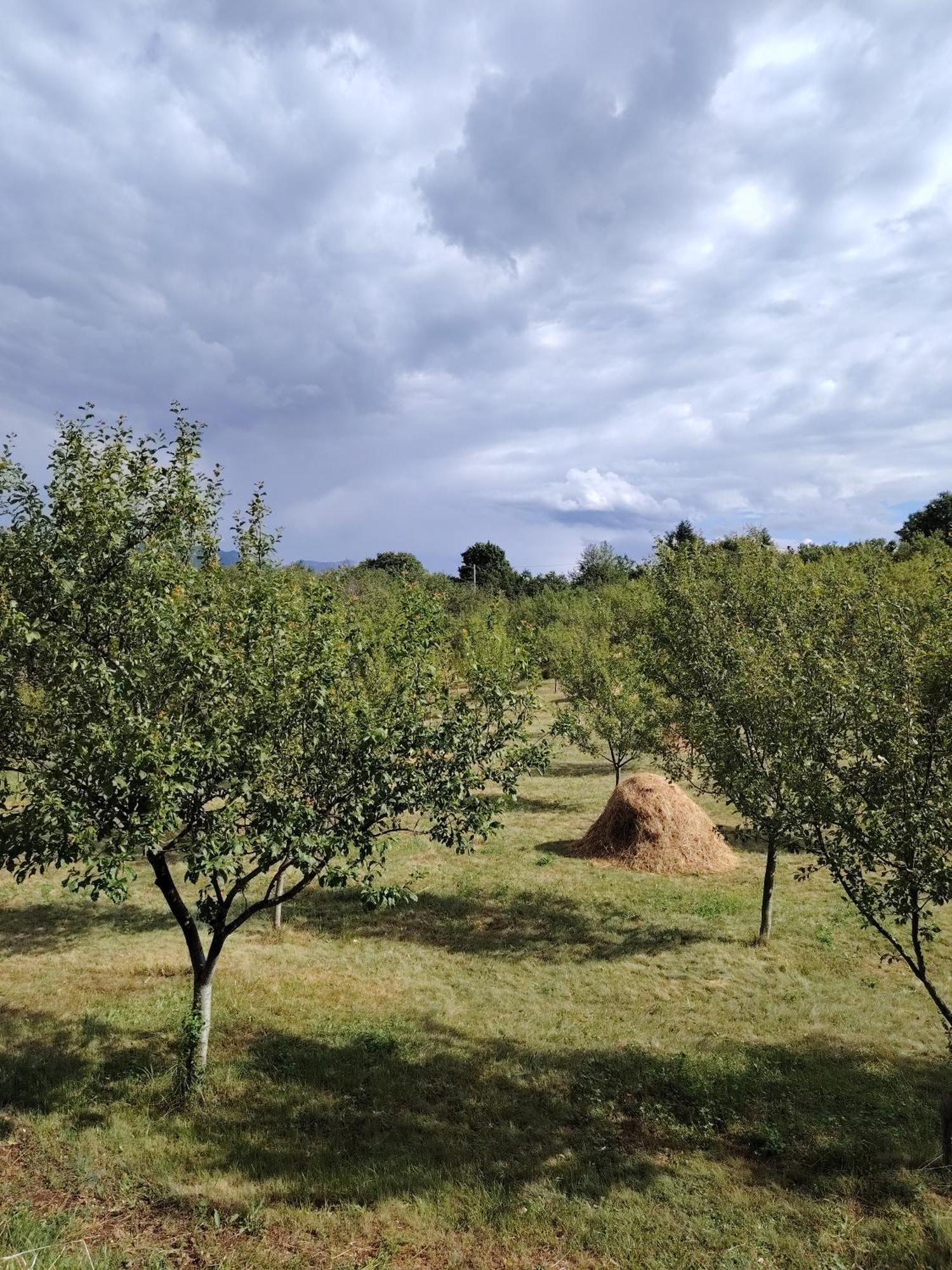 Rural Resort Tron Plužine Eksteriør bilde